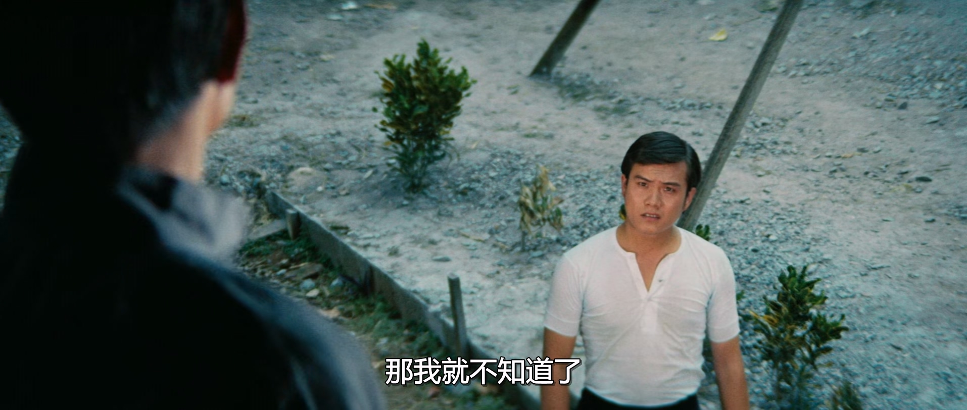 唐山大兄.The.Big.Boss.1971.CRITERION.CHINESE.1080p.BluRay.x265-VXT.mkv_20250722_.jpg