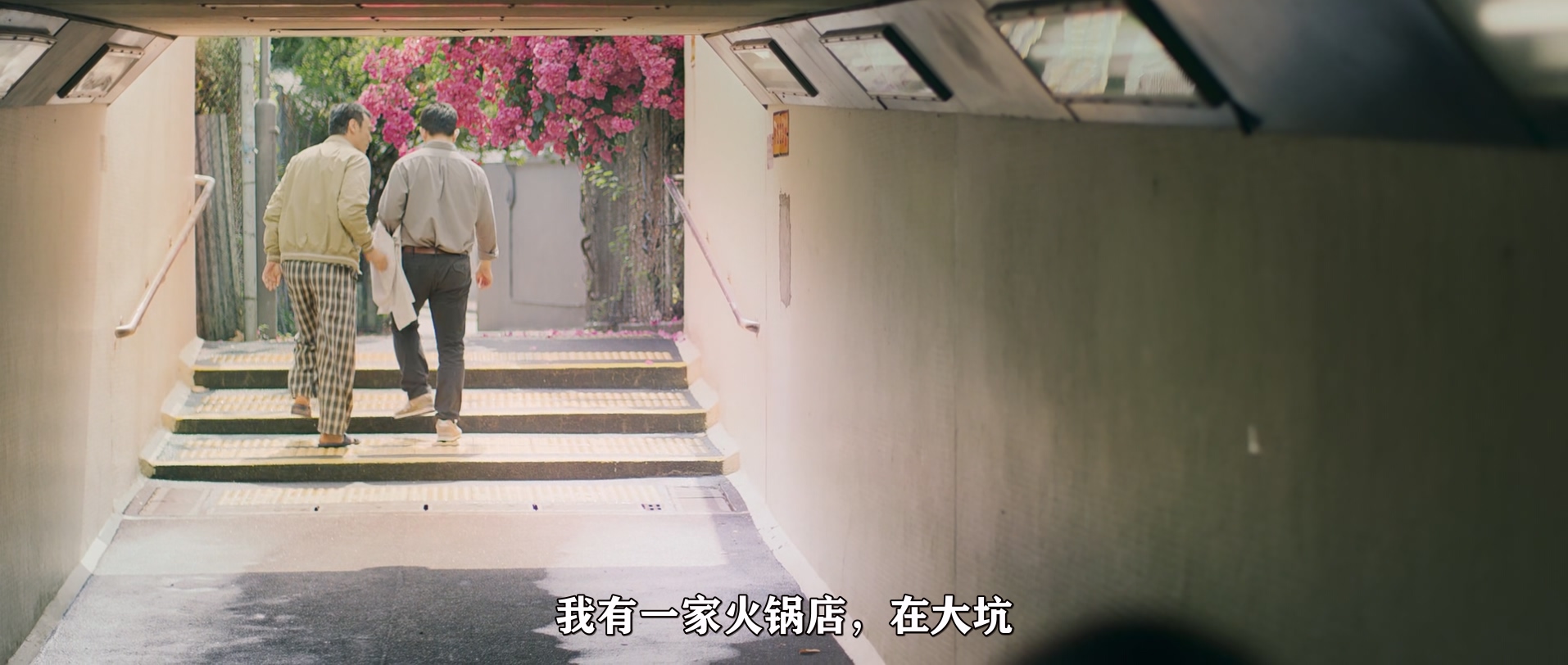 花椒之味.Fagara.2019.CHINESE.1080p.BluRay.x265.2audio-VXT.mkv_20250724_104806.480.jpg