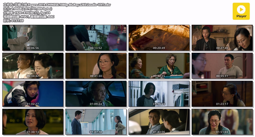 花椒之味.Fagara.2019.CHINESE.1080p.BluRay.x265.2audio-VXT.mkv.jpg