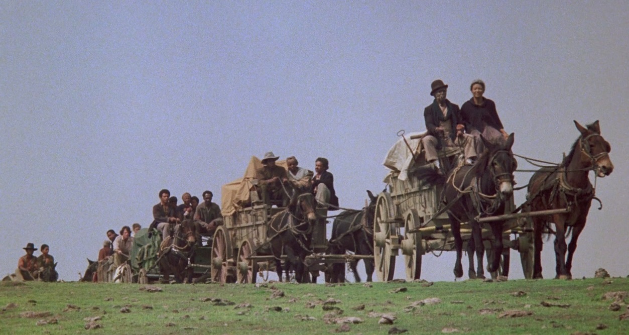 Roots.1977 (8).mkv_20250726_181116.639.jpg