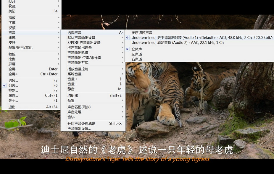 03-老虎崛起 (1).jpg
