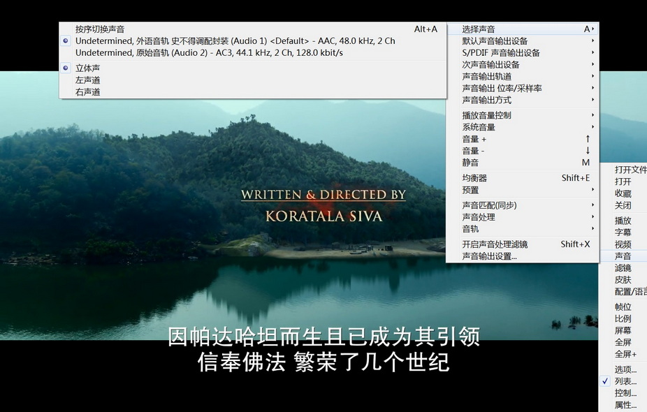 15-达摩卫士 (1).jpg