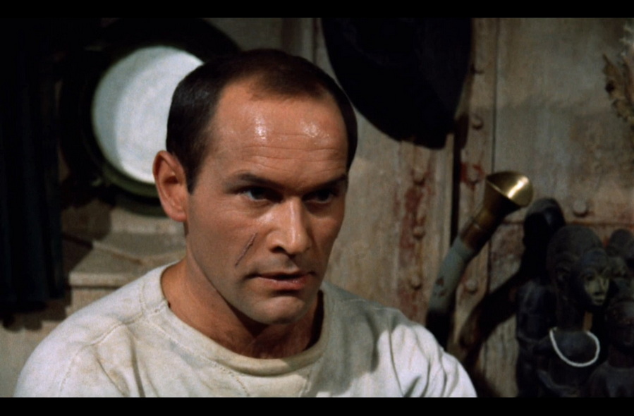 11-丁丁金毛号 (4).jpg