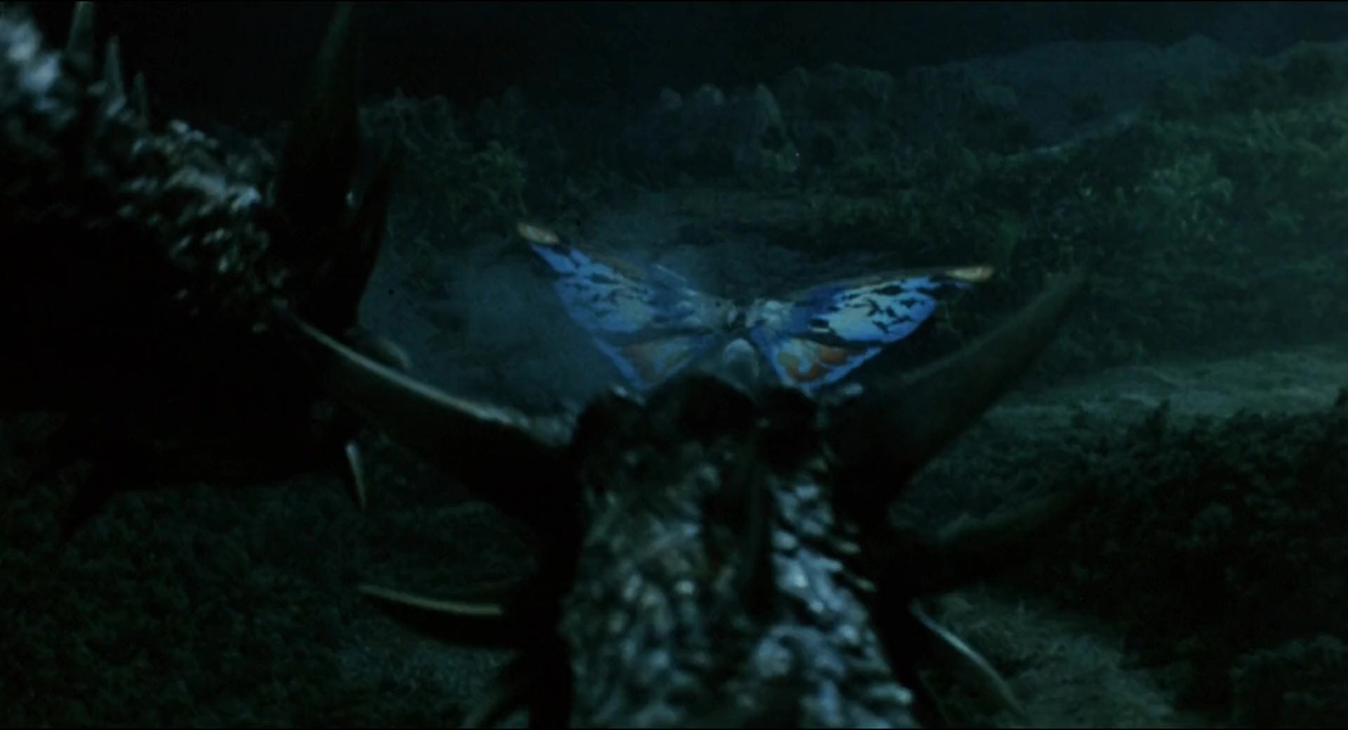 魔斯拉3：王者基多拉来袭.Rebirth.of.Mothra.III.1998.CNSC.mkv_20250731_131937.723.jpg