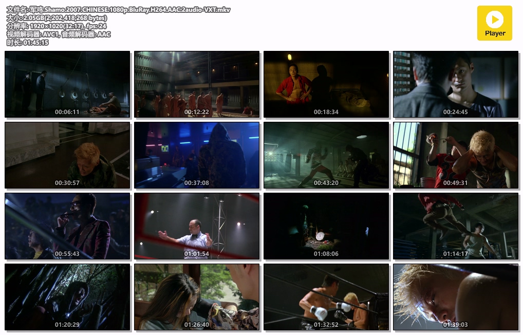 军鸡.Shamo.2007.CHINESE.1080p.BluRay.H264.AAC.2audio-VXT.mkv.jpg