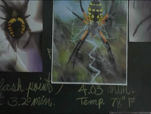 天蛛地灭.Spiders (2000) DVDRip 国英双语.mkv_20250803_192847.484.jpg