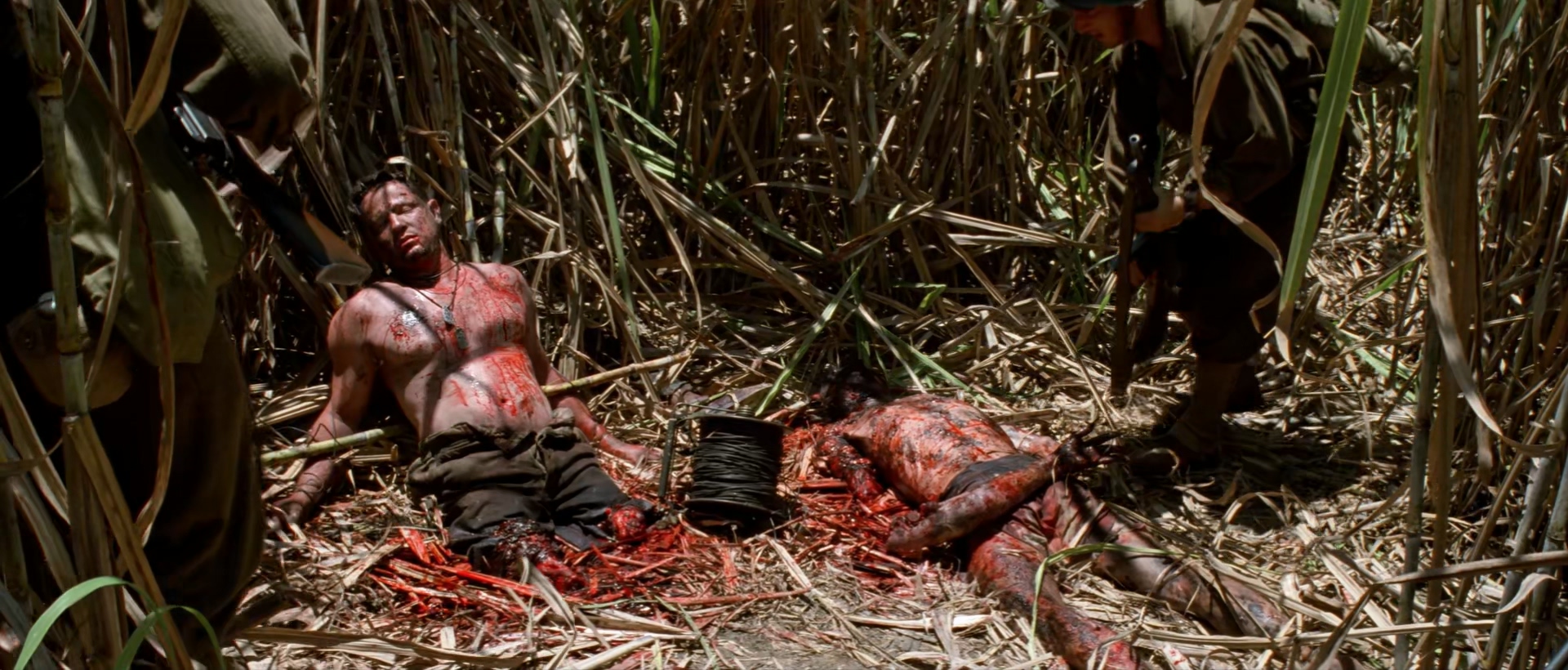 1998 细细的红线 The Thin Red Line.mkv_20250806_145224.288.jpg