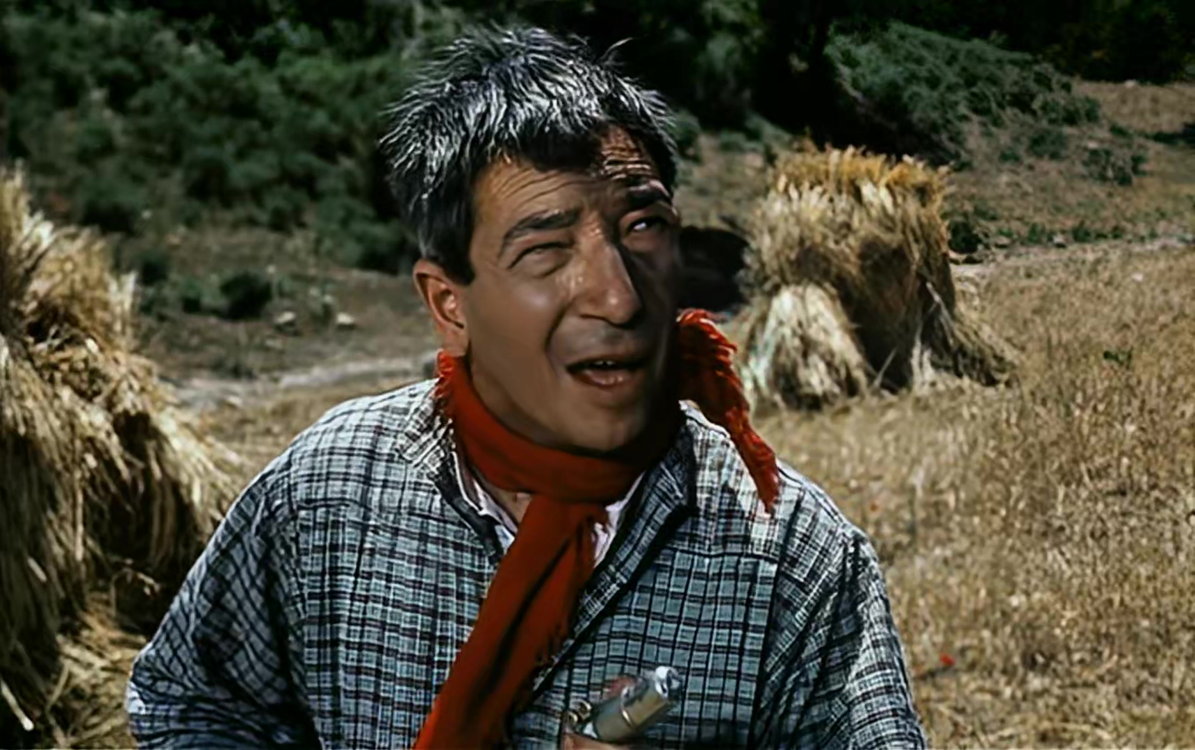 1961 丁丁和金羊毛.mp4_20250806_154051.054.jpg