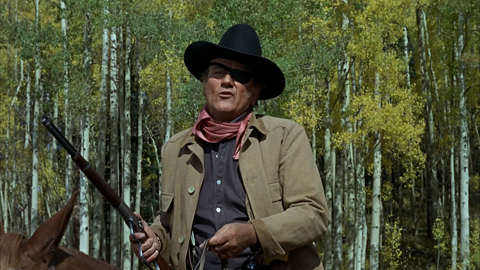 True.Grit.1969.1080p.BluRay.x265-bylh.mkv_20250809_095054.074.jpg