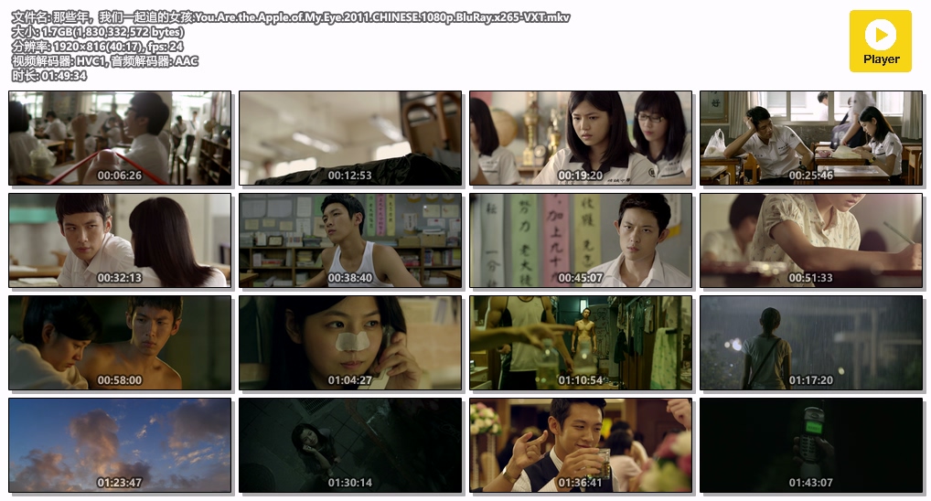 那些年，我们一起追的女孩.You.Are.the.Apple.of.My.Eye.2011.CHINESE.1080p.BluRay.x.jpg
