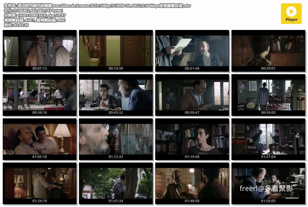 透过欧内斯托的眼睛.Aos.Olhos.de.Ernesto.2019.1080p.TC.WEB-DL.AAC2.0.384kbps央视.jpg