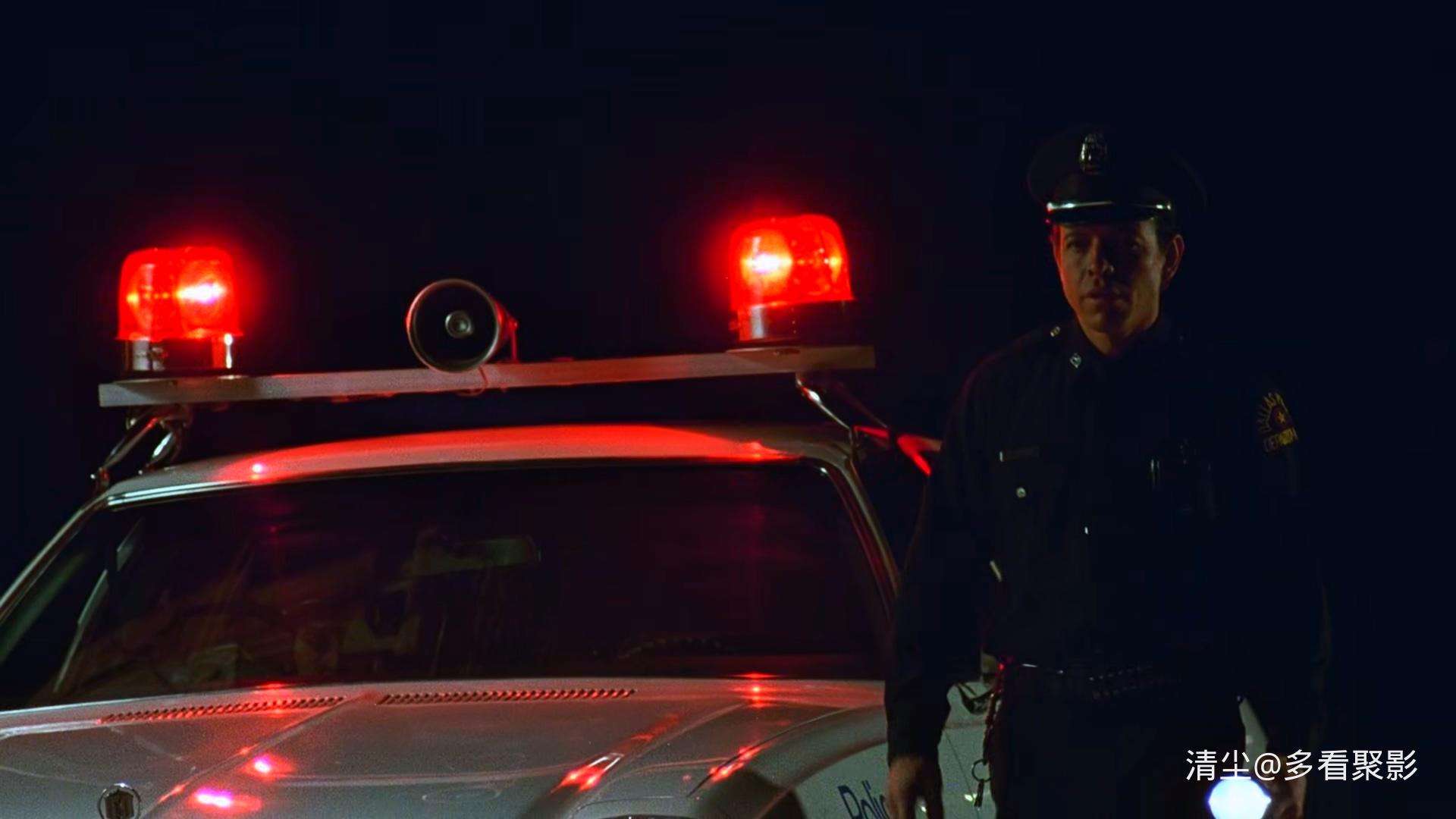 1988 细细的蓝线 The Thin Blue Line.mkv_20250823_125148.538.jpg