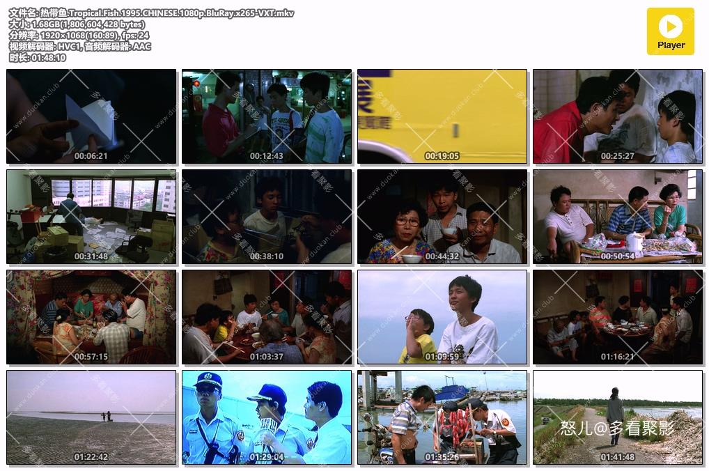热带鱼.Tropical.Fish.1995.CHINESE.1080p.BluRay.x265-VXT.mkv.jpg