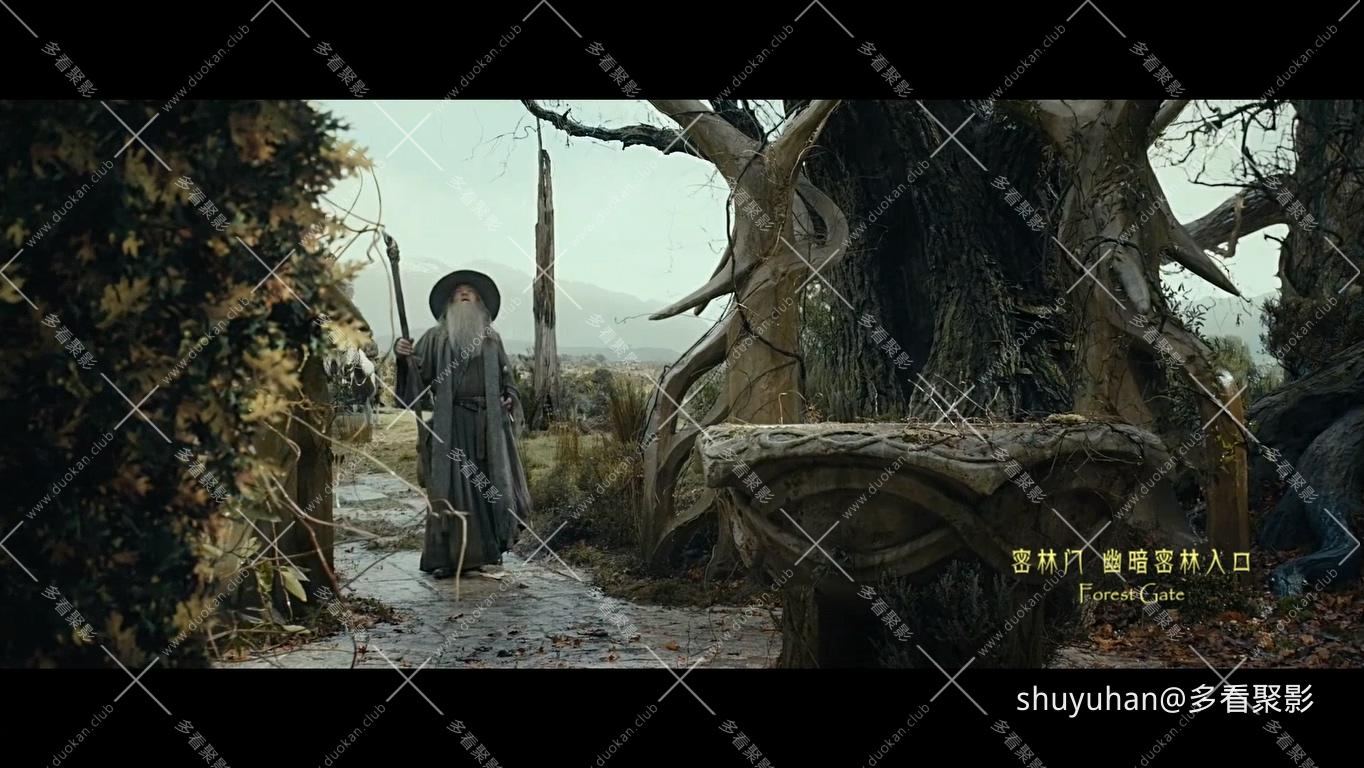 The Hobbit The Desolation of Smaug Extended Edition 2013 1080p BluRay x265 HEVC .jpg