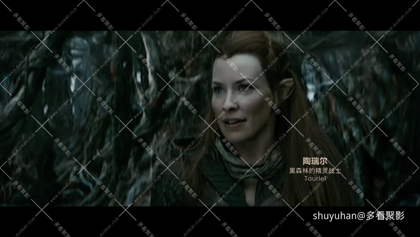 The Hobbit The Desolation of Smaug Extended Edition 2013 1080p BluRay x265 HEVC .jpg