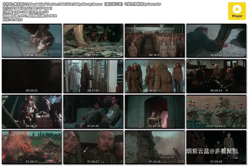 黑太阳731.Man Behind The Sun.1988.USA.1080p.Blu-ray.Remux （国日英三语）中英双字.jpg