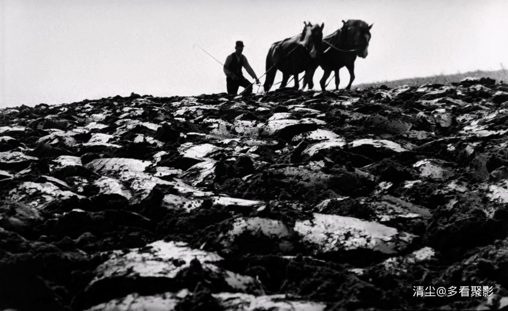 1958 灰烬与钻石 Ashes and Diamonds （波兰）.mkv_20250924_153734.751.jpg