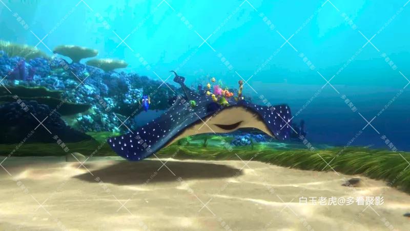 海底总动员2：多莉去哪儿[国粤英多音轨 简繁英字幕].Finding.Dory.2016.UHD.BluRay.21.webp
