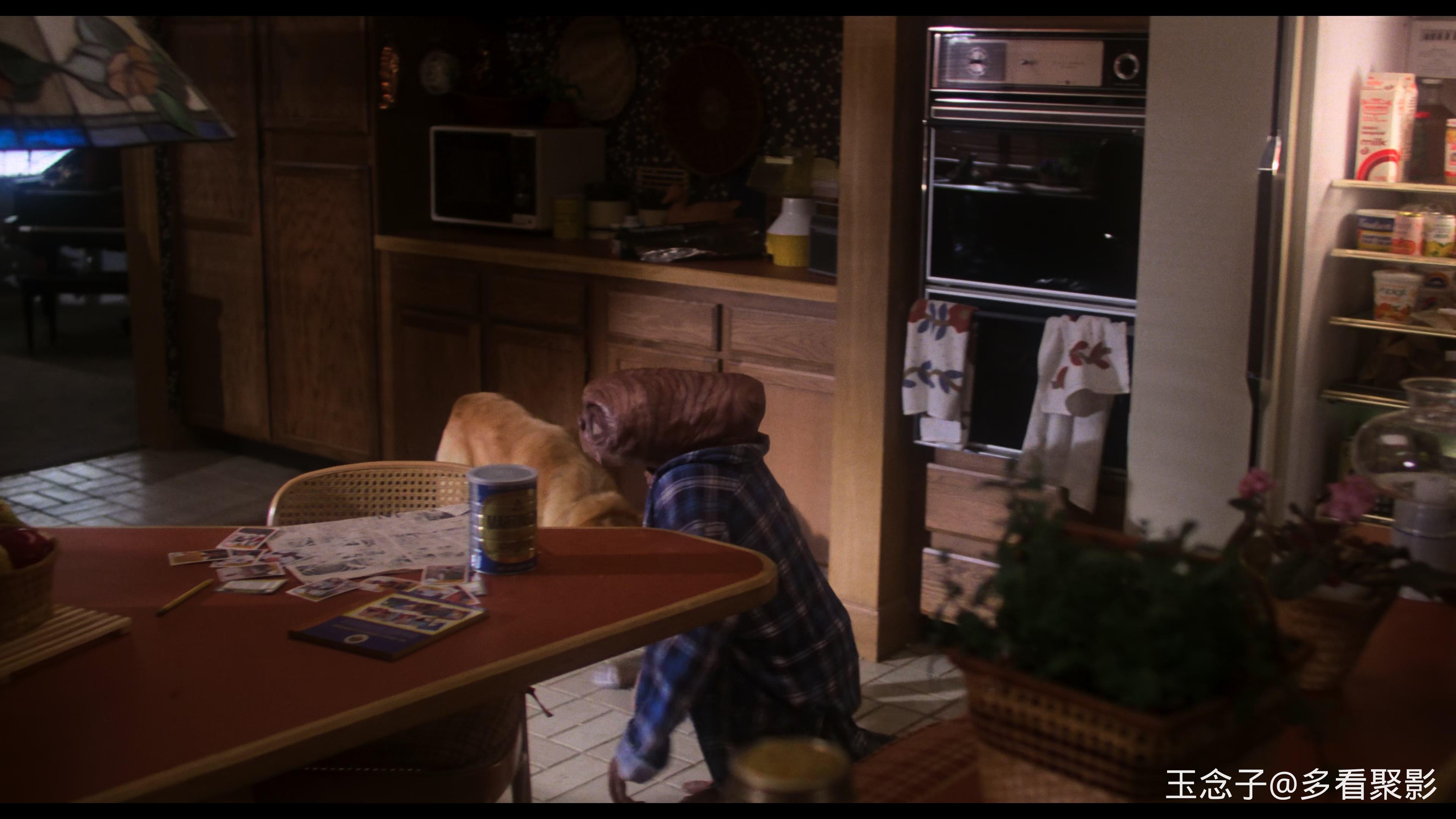 ET外星人.E.T.the.Extra-Terrestrial.1982.BD2160P×265.AAC.English.CHS-ENG.mp4_202.jpg