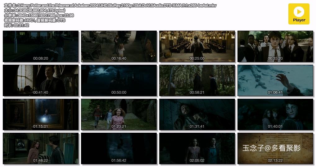 3.Harry.Potter.and.the.Prisoner.of.Azkaban.2004.UHD.BluRay.2160p.10bit.DoVi.5Aud.jpg