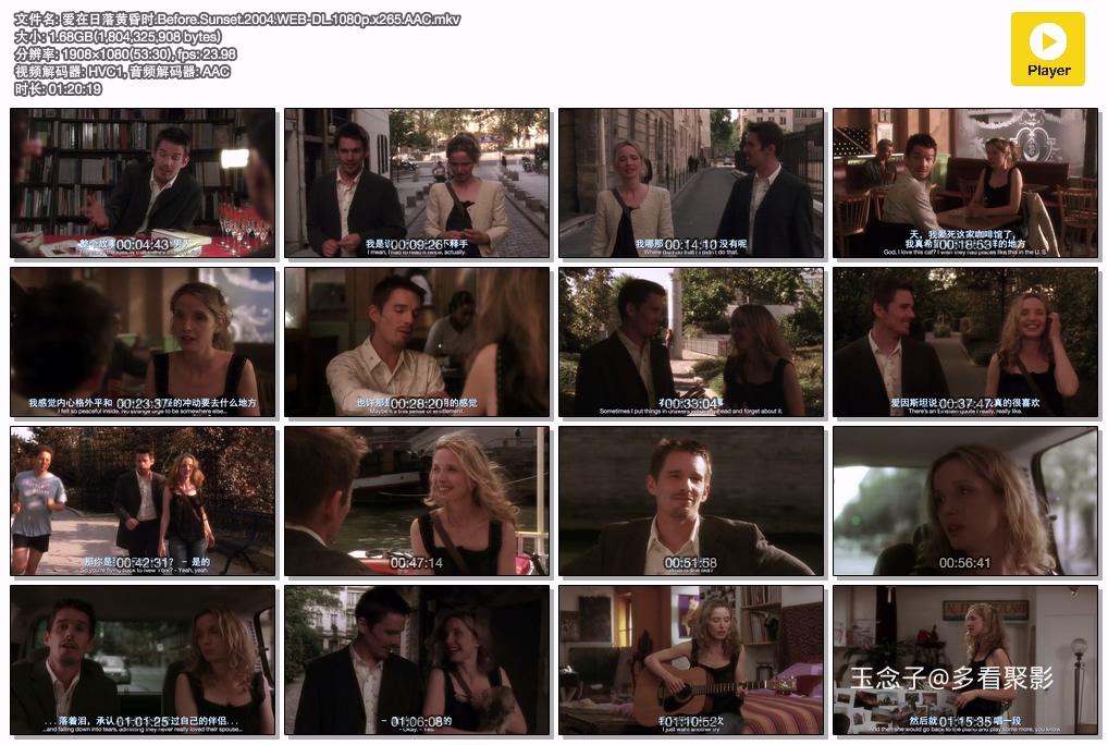 爱在日落黄昏时.Before.Sunset.2004.WEB-DL.1080p.x265.AAC.mkv.jpg