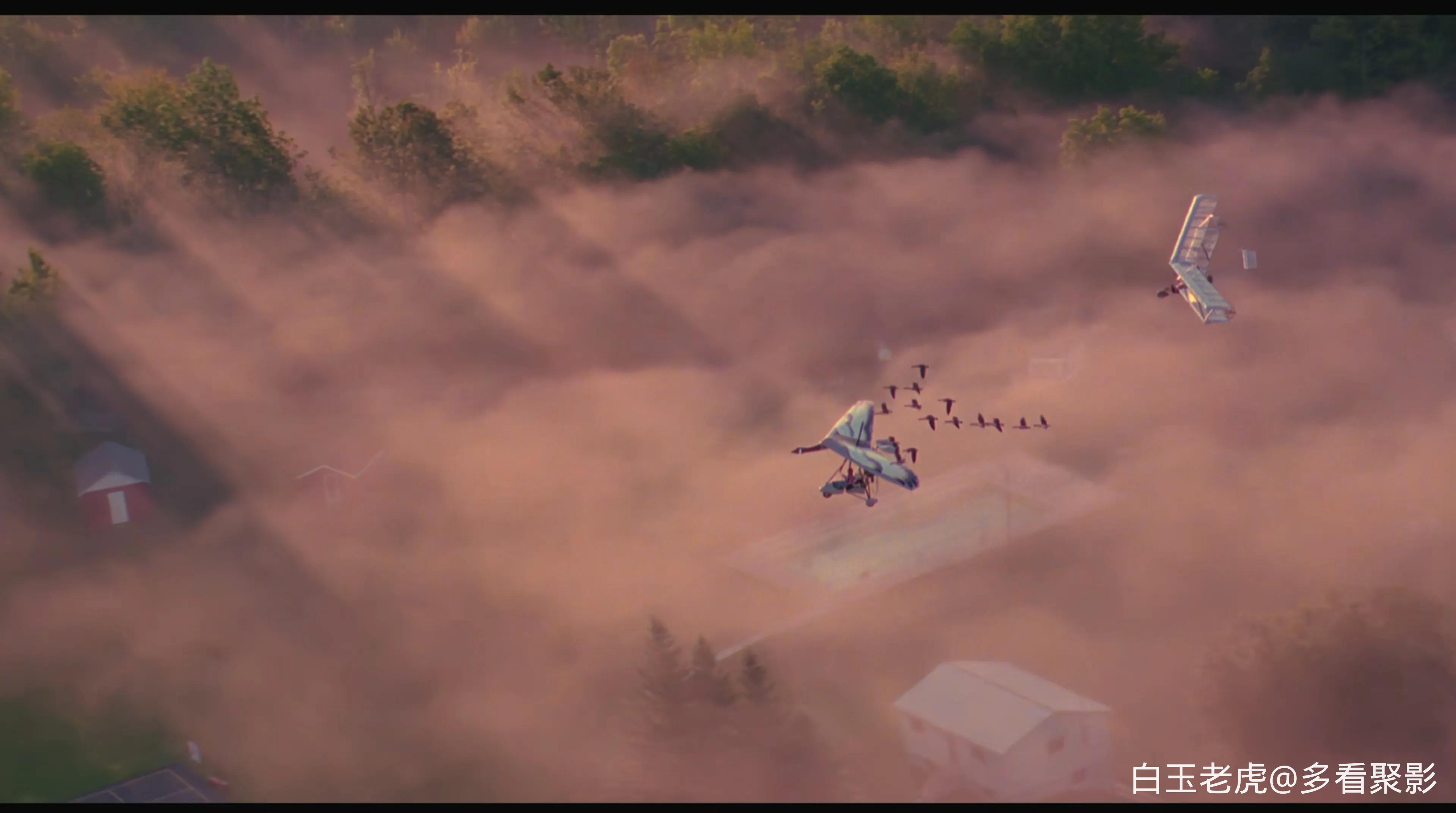 Fly Away Home (1996).mkv_20251004_090737.065.webp