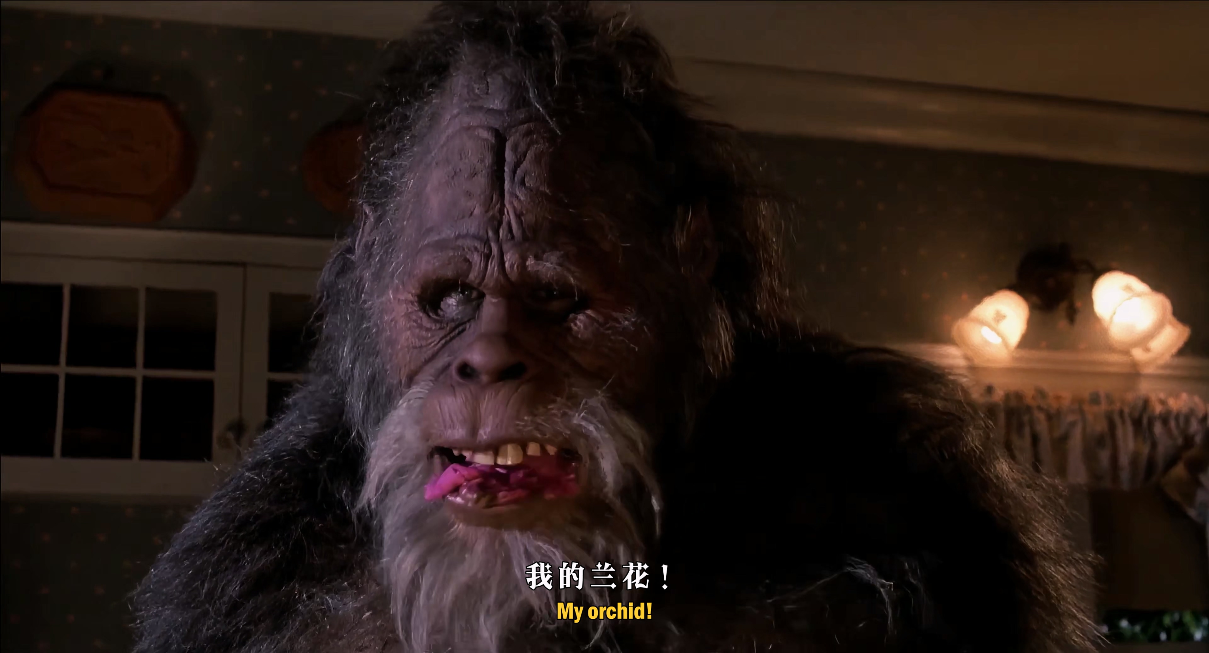 1987 大脚哈利 Harry and the Hendersons.mkv_20251004_105952.414.jpg