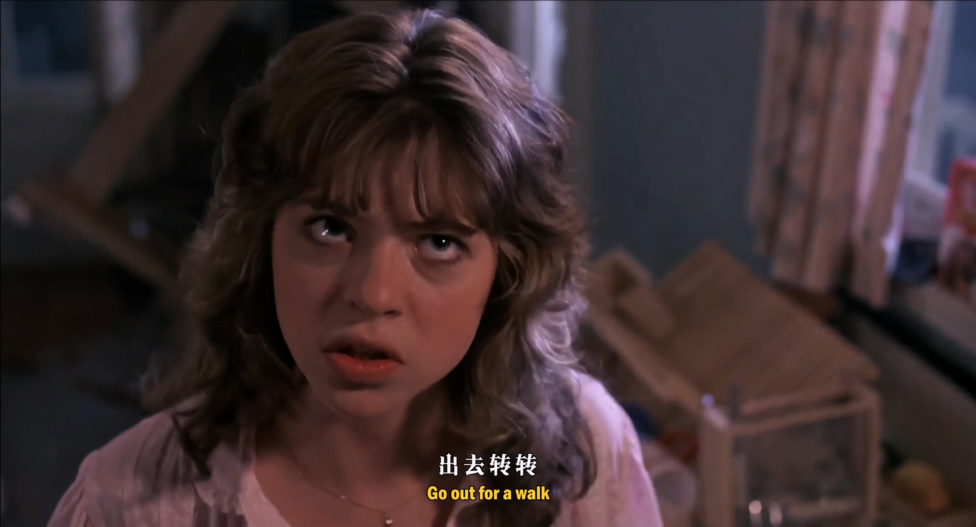 1987 大脚哈利 Harry and the Hendersons.mkv_20251004_110010.865.jpg