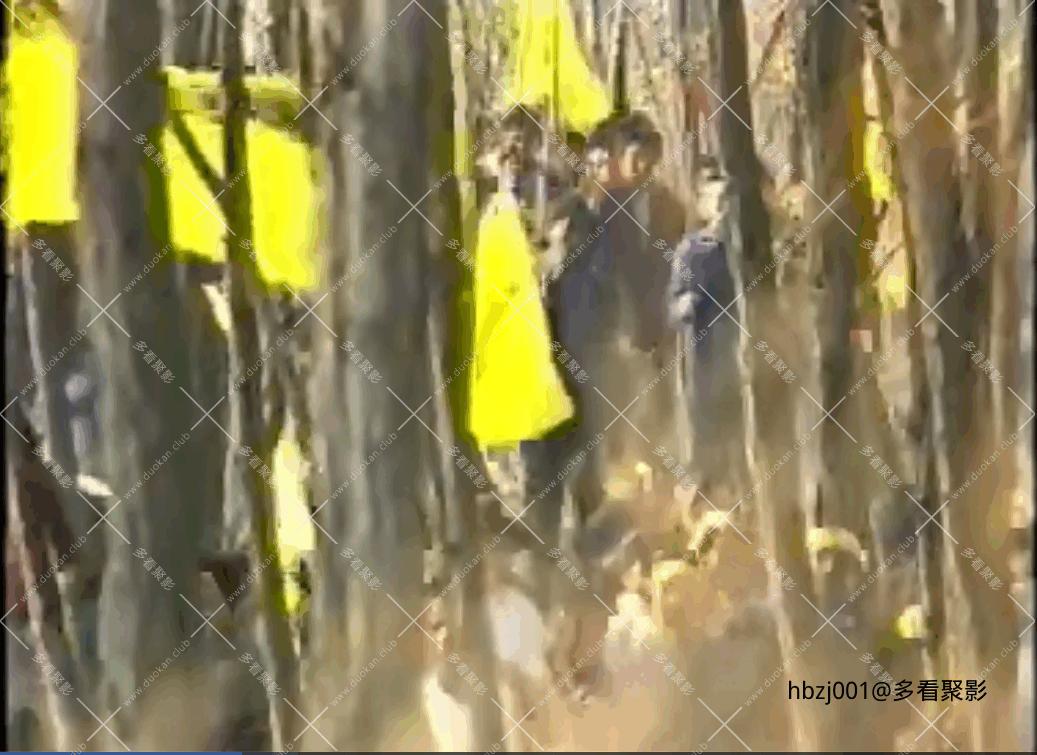 QQ截图20251007075632 (1).png