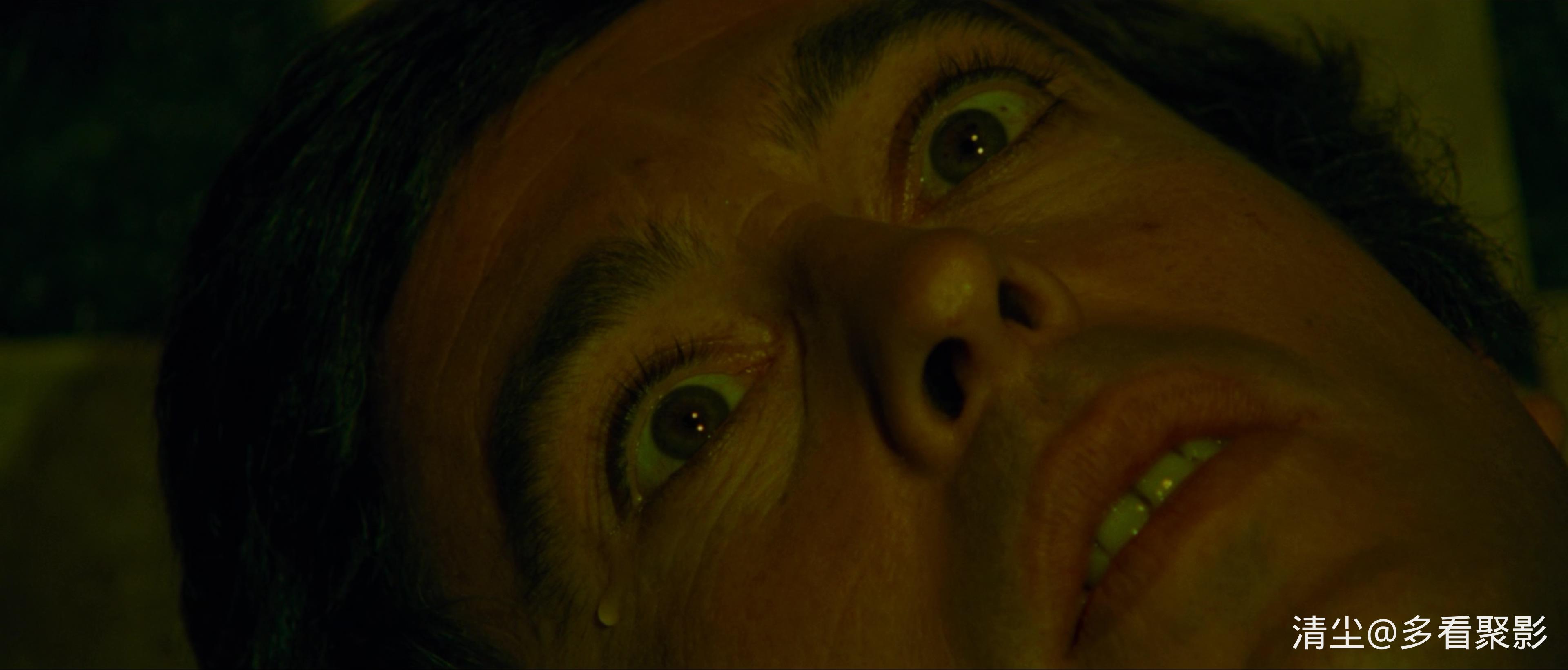 1971 九尾怪猫 Il gatto a nove code.mkv_20251008_163617.572.jpg