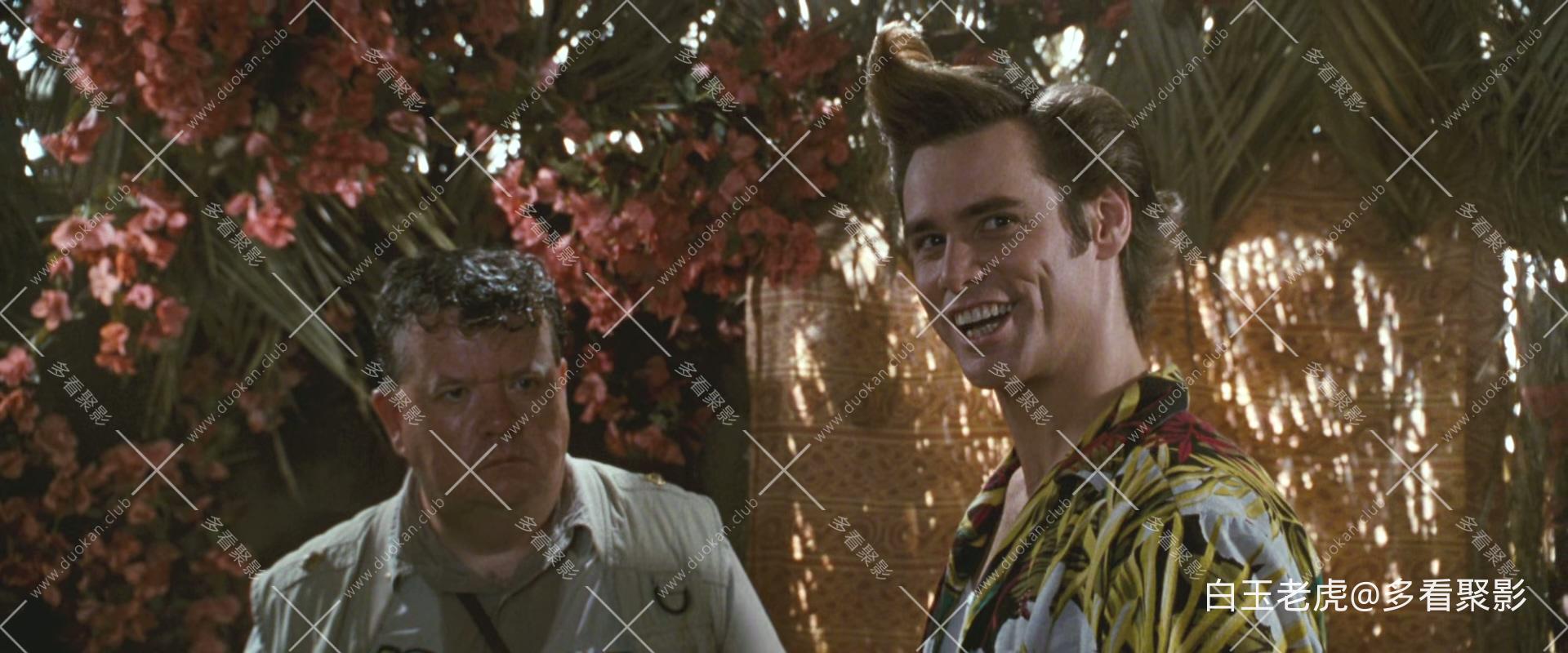 Ace.Ventura.When.Nature.Calls.1995.1080p.BluRay.x265-RARBG.mkv_20251026_093529.765.jpg