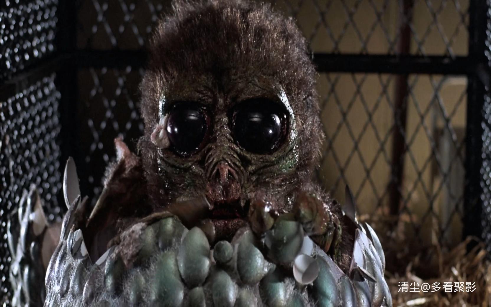 1985 奇遇 Zone.Trooper.mkv_20251206_155829.844.jpg