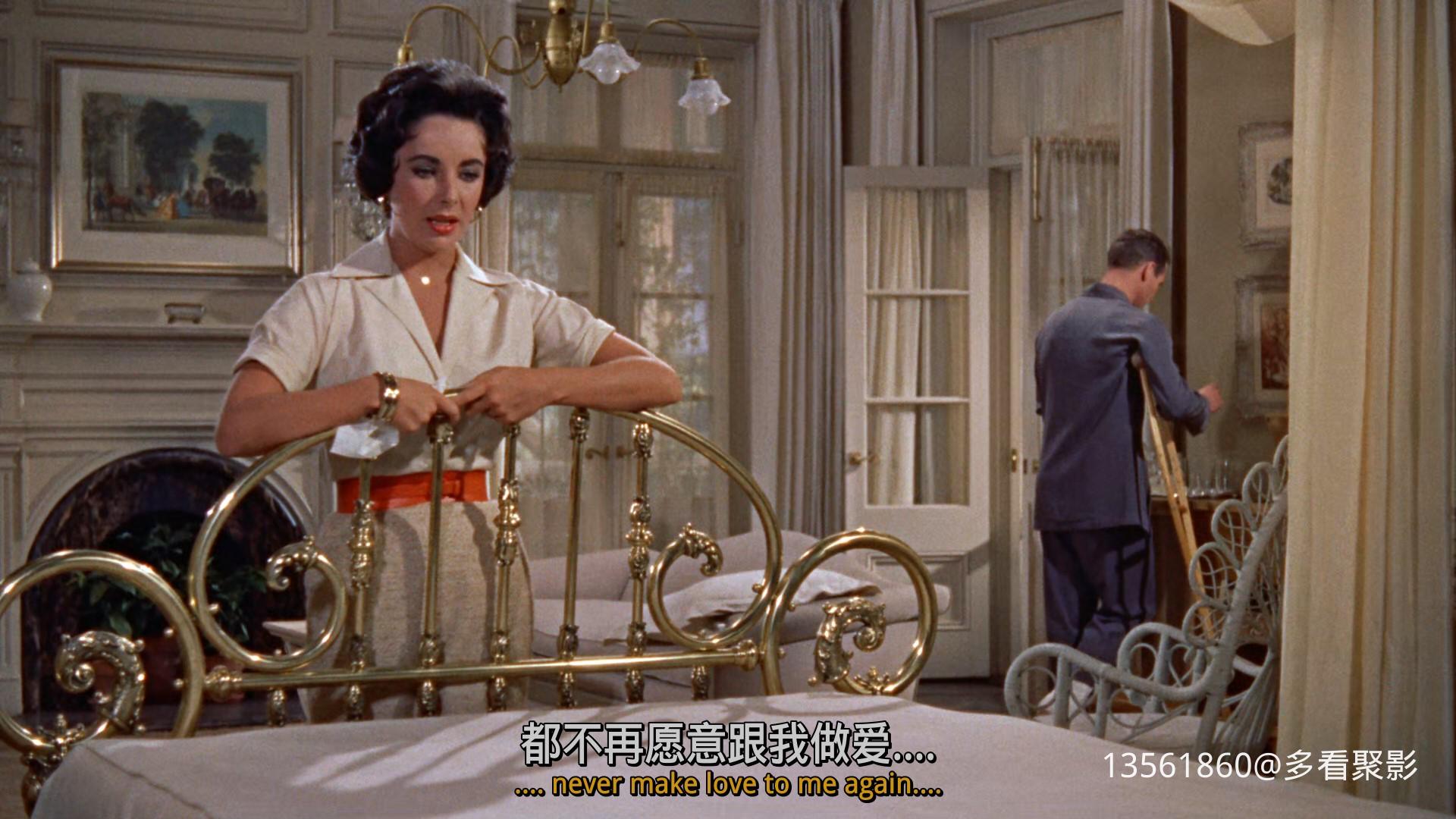 热铁皮屋顶上的猫Cat on a Hot-00_12_12-2025_12_26_09_42_01.jpg