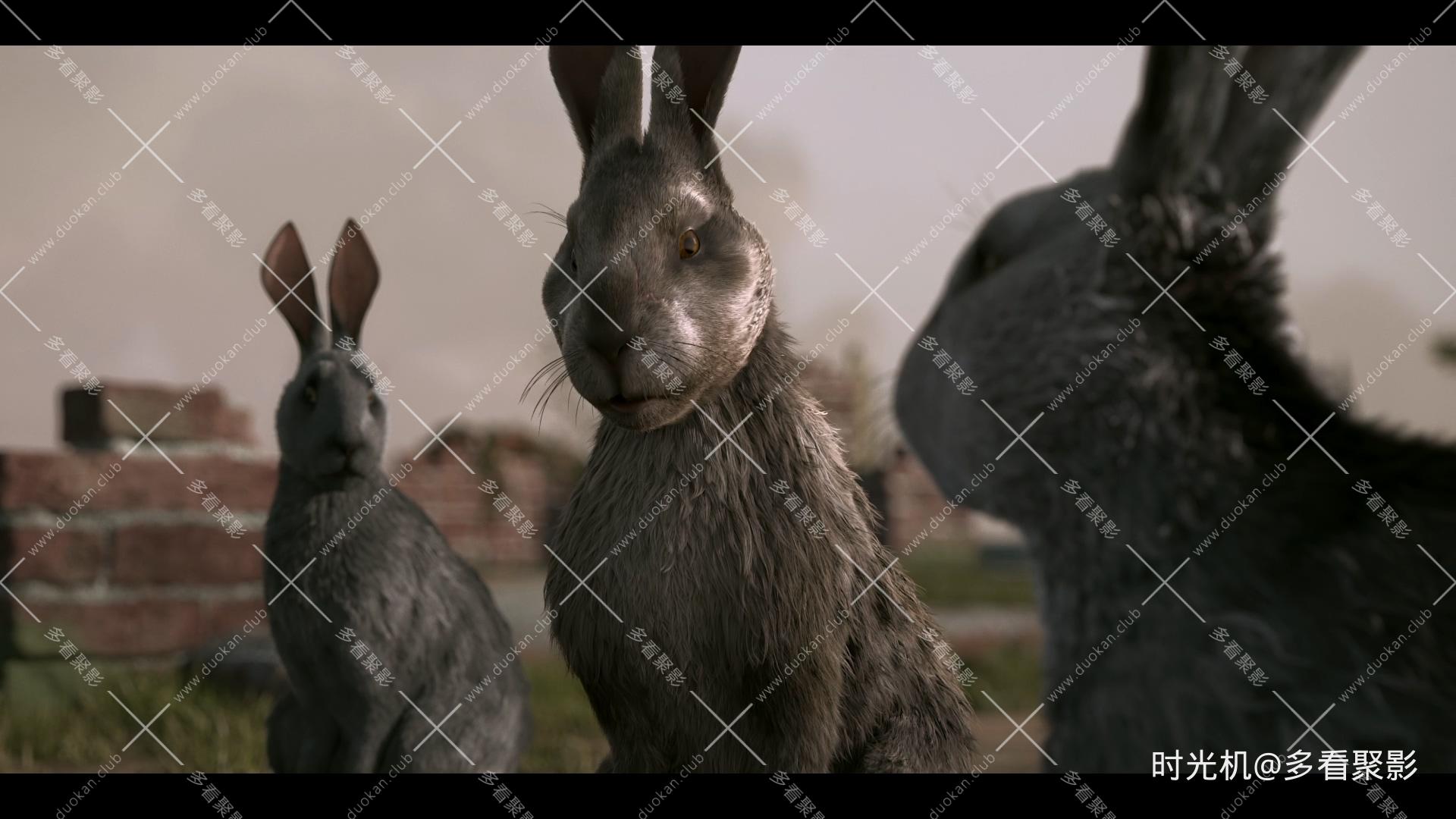 新西游记 [S01E07] - 直到遇见你.mkv_20251228_195925.127.jpg