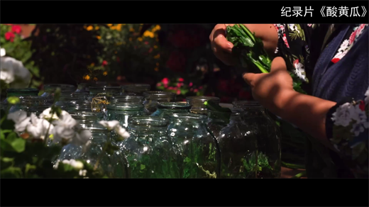 记录片酸黄瓜[00_23_13][20260109-144351].png
