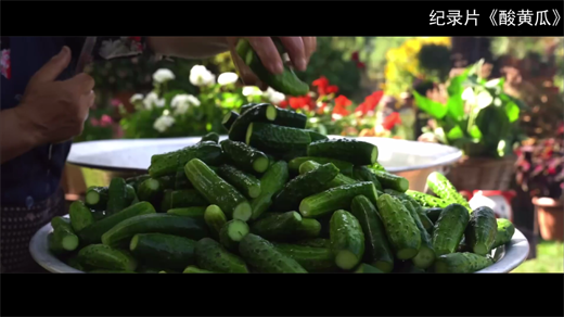 记录片酸黄瓜[00_16_24][20260109-144334].png