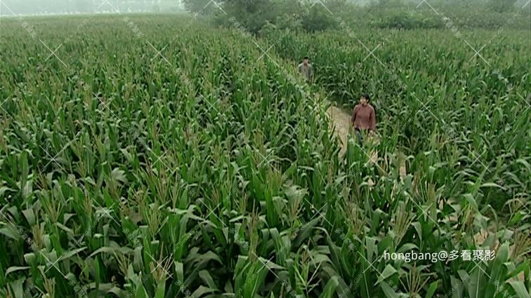 家在洹上[00_03_59][20260211-195623] 副本.png