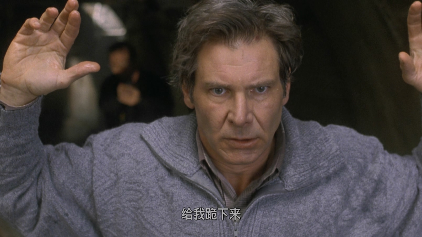 亡命天涯The.Fugitive.1993.1080p.Bluray.x265.10bit.DTS-QuickIO (国语上译字幕).mkv.jpg