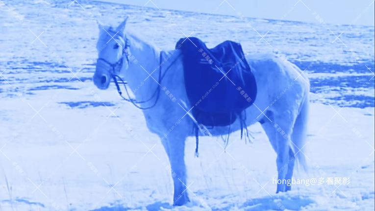 静态截图 (16).jpg