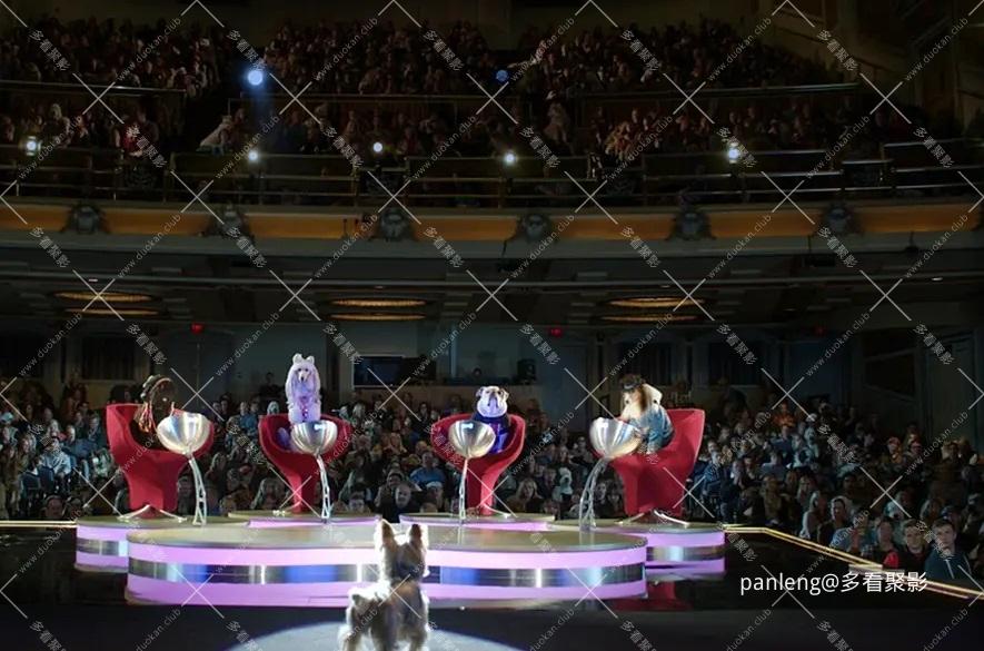 p2516360417.webp (1).jpg