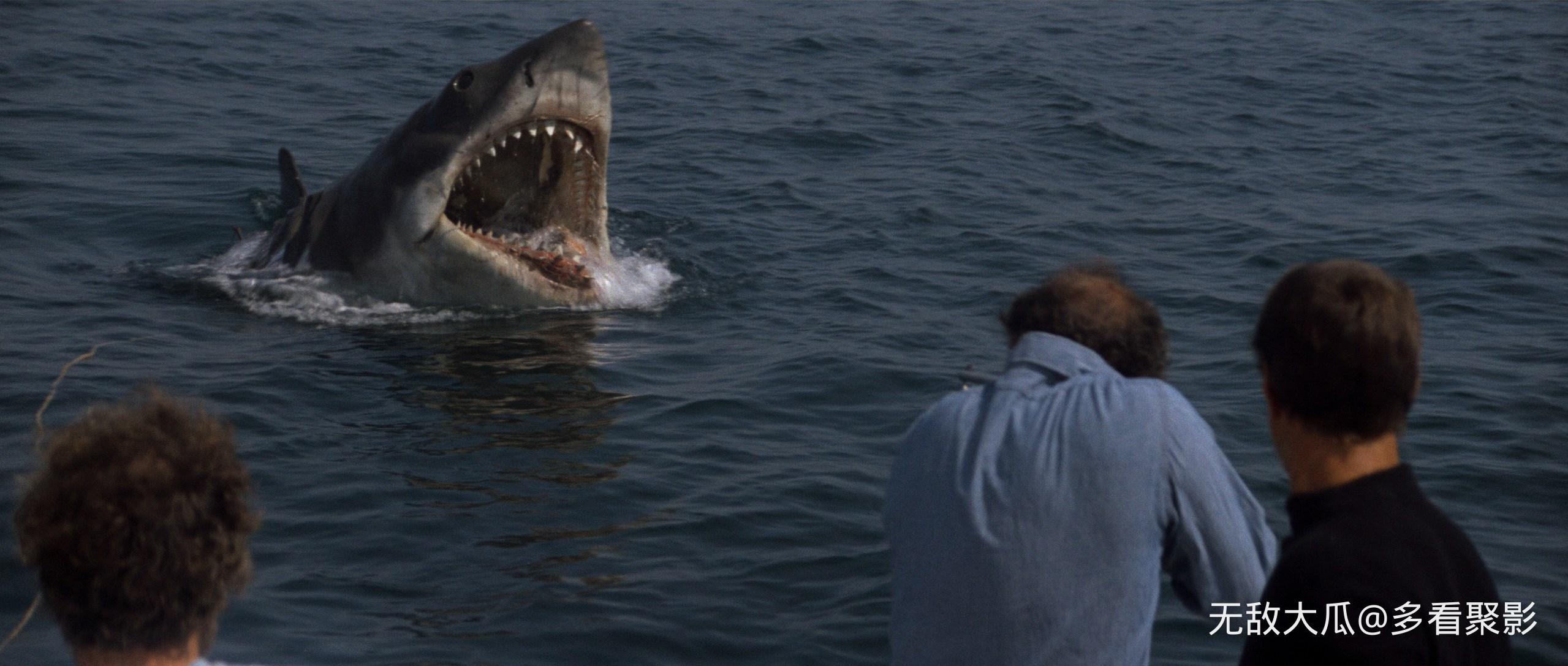 屏幕截图 2026-03-01 223359.jpg