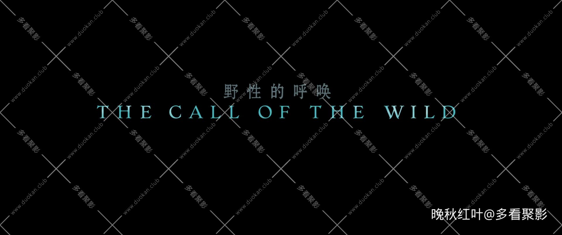 The Call of the Wild 2020 USA BluRay 2160p TrueHD7.1 HDR10 x265 10bit-DreamHD.mk.jpg