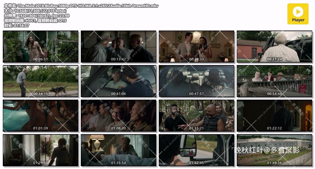 The.Mule.2018.BluRay.1080p.DTS-HD.MA.5.1.x265.2Audio.10bit-DreamHD.mkv.jpg