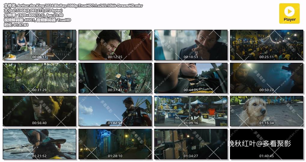 Arthur.the.King.2024.BluRay.1080p.TrueHD7.1.x265.10bit-DreamHD.mkv.jpg