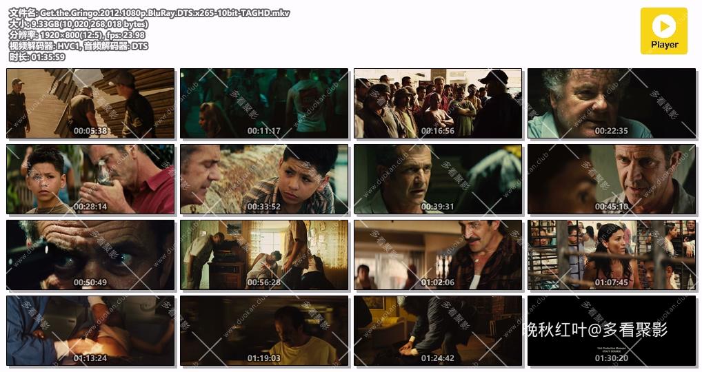 Get.the.Gringo.2012.1080p.BluRay.DTS.x265-10bit-TAGHD.mkv.jpg