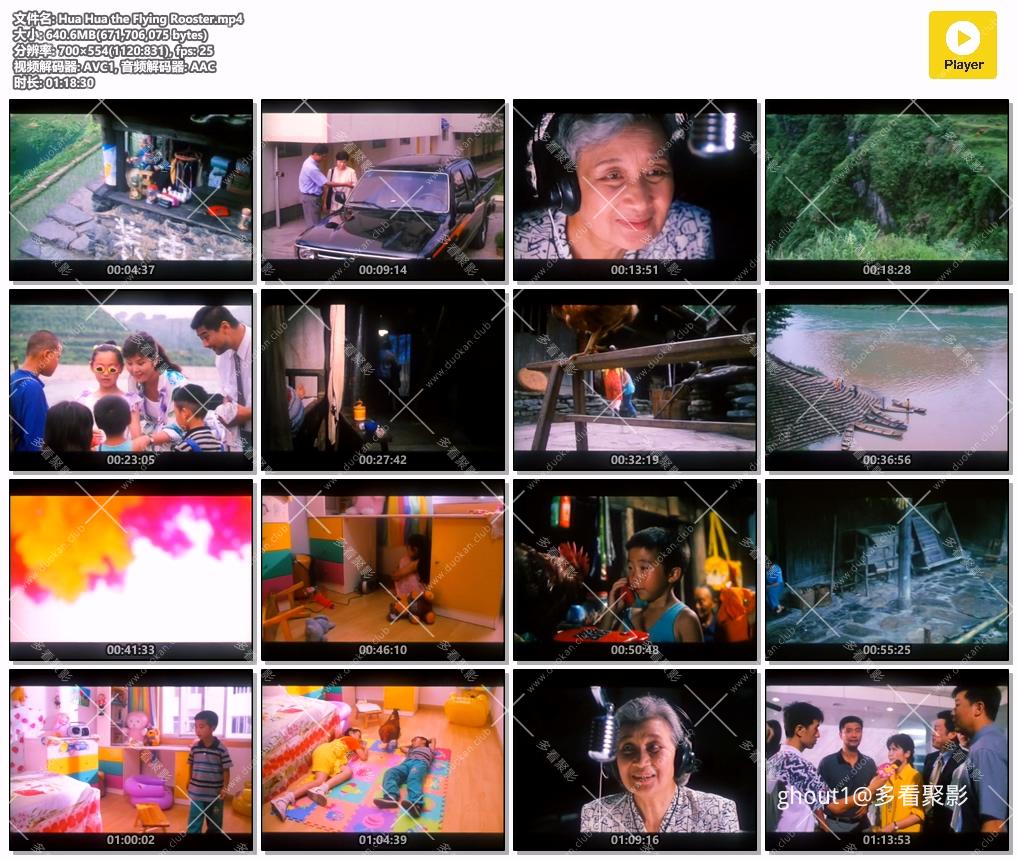 Hua Hua the Flying Rooster.mp4.jpg