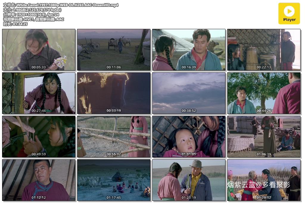 White.Camel.1997.1080p.WEB-DL.H265.AAC-DreamHD.mp4.jpg