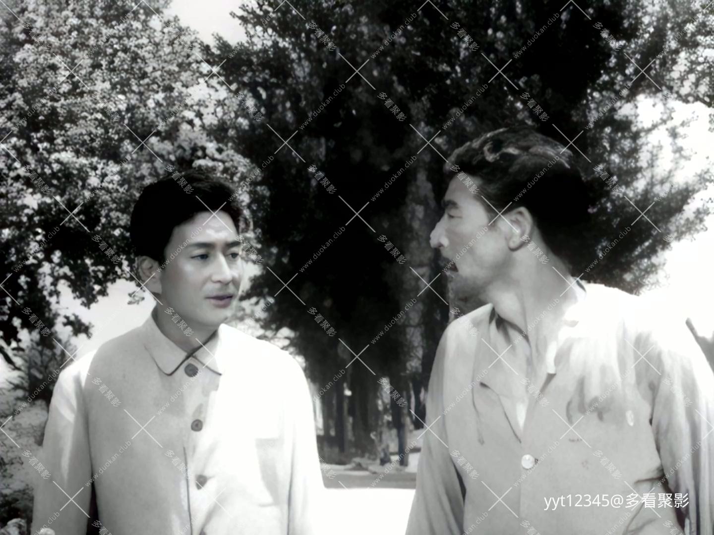 鲜花盛开的村庄 Iris2.mkv_20260627_095720.654.jpg