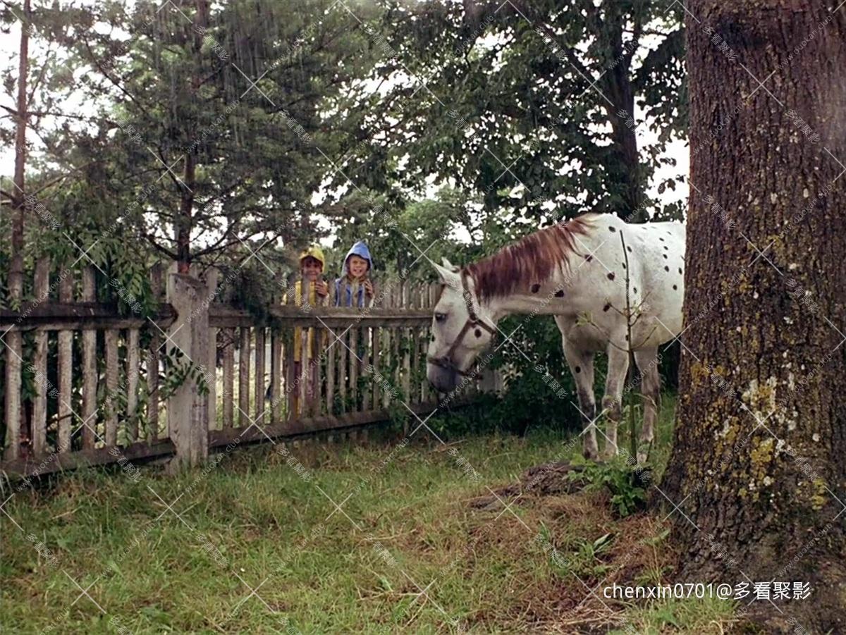 011.jpg