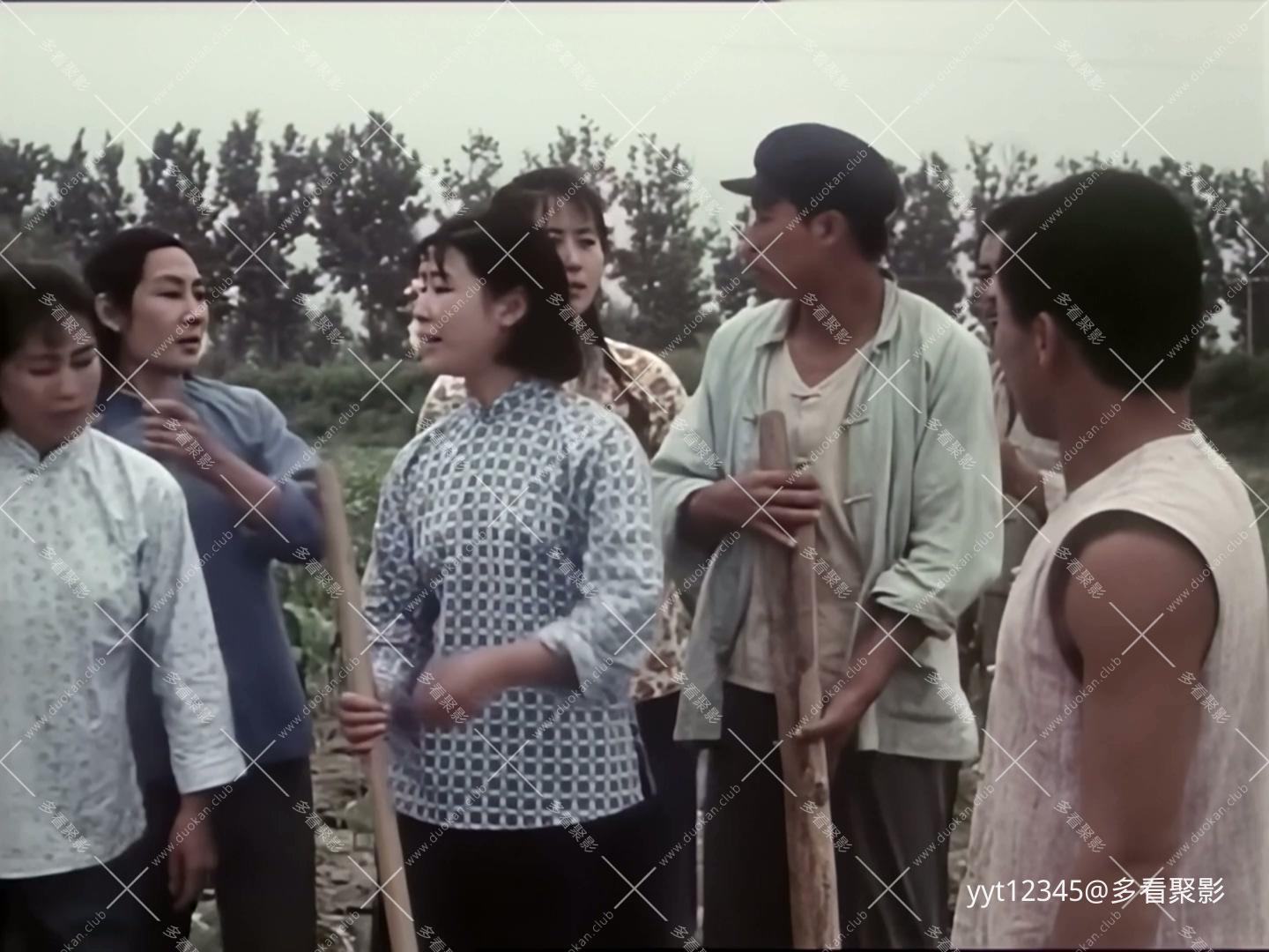 金光大道[中集][1976] Iris3.mkv_20260627_142734.837.jpg